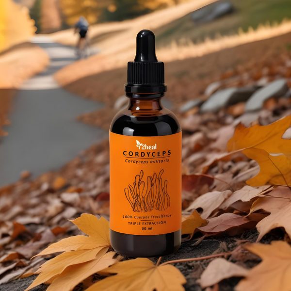 Cordyceps Adaptógeno | 30 ml